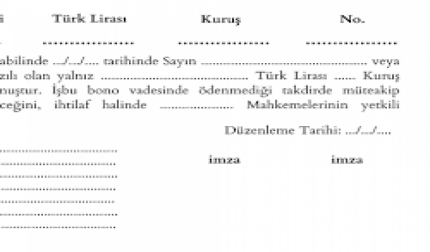 Hamile Yazılı Seneti Elinden Kötüniyetle Devralınmış 